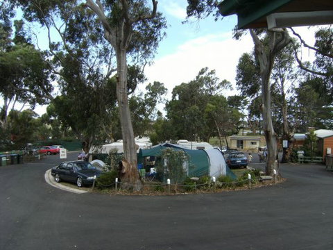 A Maze'N Things Holiday Park And Motel - Accommodation Fremantle 2